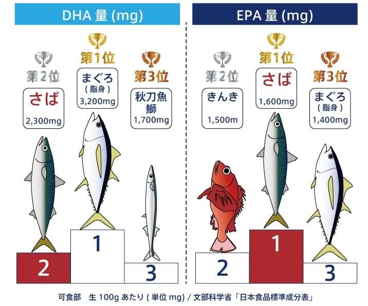 魚類DHA・EPA含有ランキング