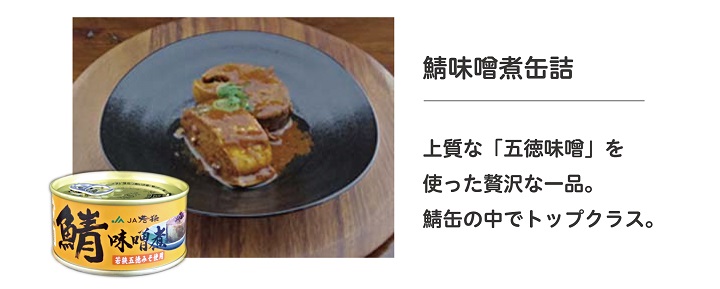 お歳暮Bさば味噌煮
