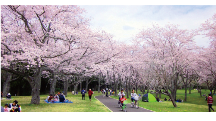 花見風景